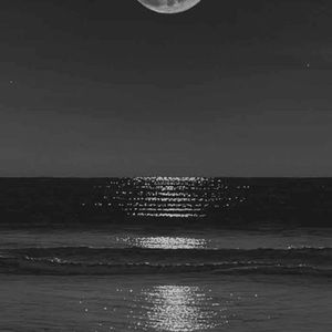 Just dropped a whole bunch of prices on items and open to offers!!